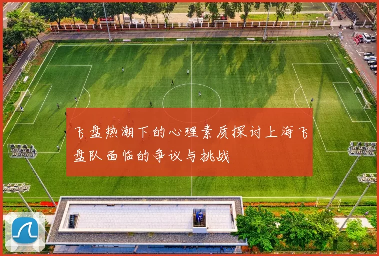 飞盘热潮下的心理素质探讨上海飞盘队面临的争议与挑战
