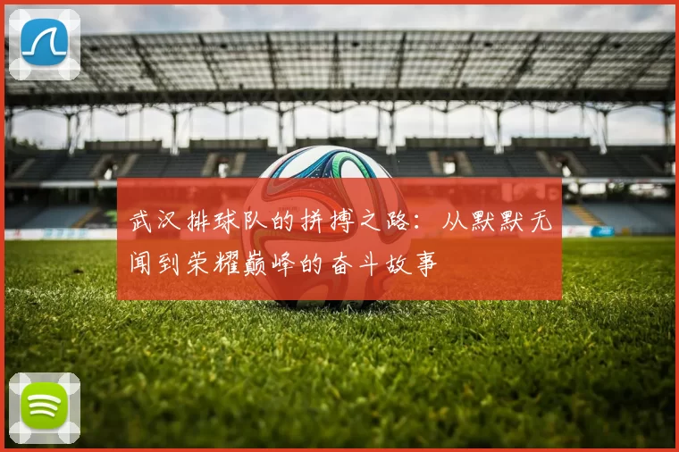 武汉排球队的拼搏之路：从默默无闻到荣耀巅峰的奋斗故事