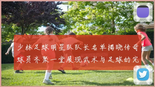 少林足球明星队队长名单揭晓传奇球员齐聚一堂展现武术与足球的完美结合