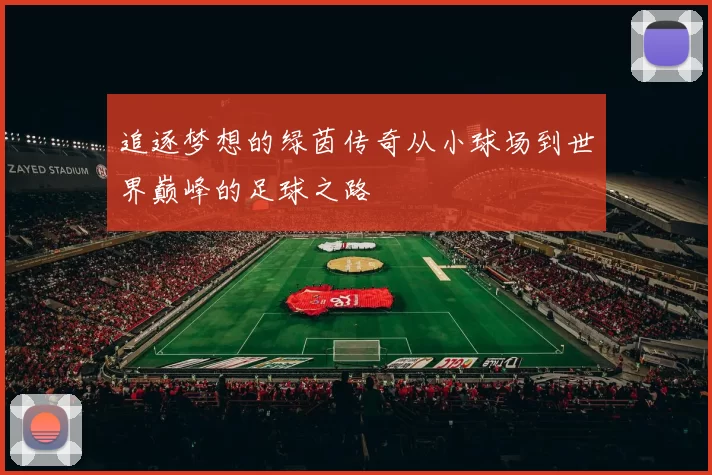 追逐梦想的绿茵传奇从小球场到世界巅峰的足球之路