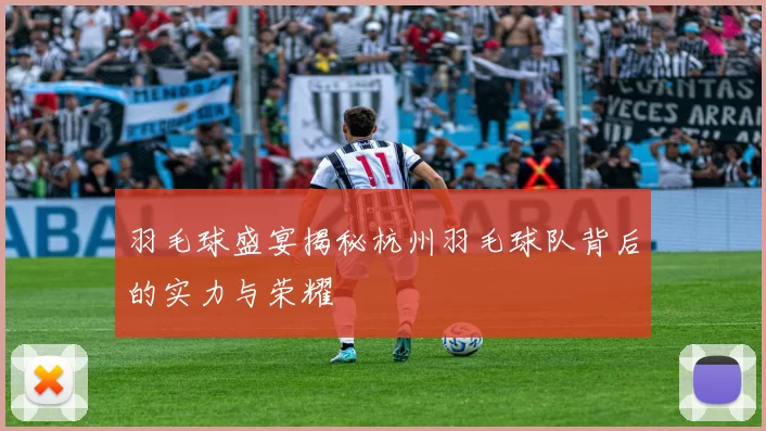羽毛球盛宴揭秘杭州羽毛球队背后的实力与荣耀