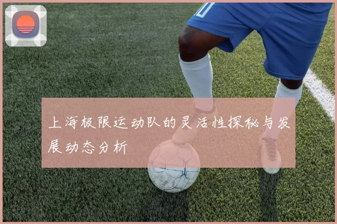 上海极限运动队的灵活性探秘与发展动态分析