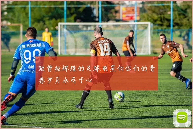 致曾经辉煌的足球明星们你们的青春岁月永存于心