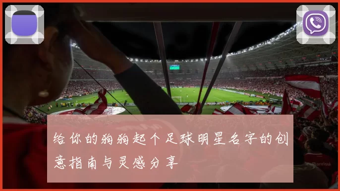 给你的狗狗起个足球明星名字的创意指南与灵感分享