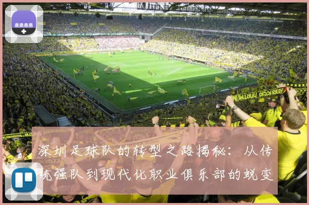 深圳足球队的转型之路揭秘：从传统强队到现代化职业俱乐部的蜕变之旅