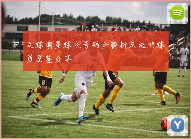 足球明星球衣号码全解析及经典球员图鉴分享