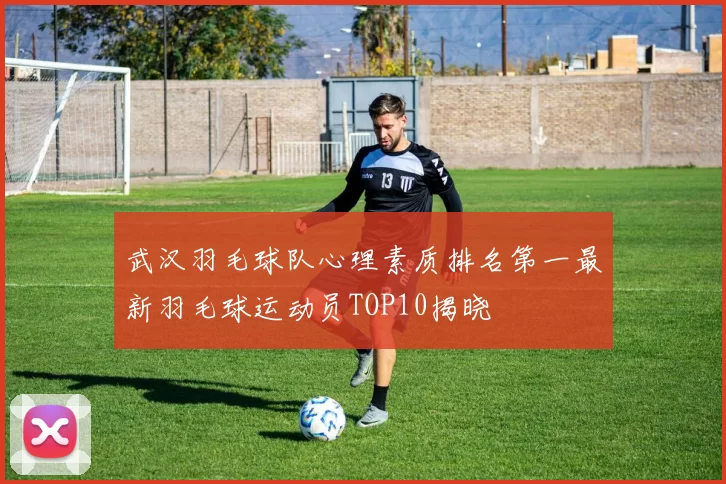 武汉羽毛球队心理素质排名第一最新羽毛球运动员TOP10揭晓