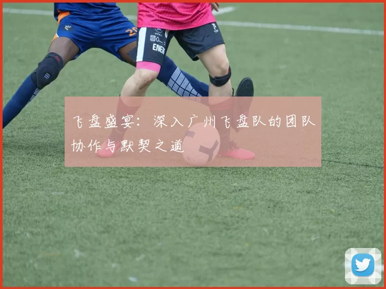 飞盘盛宴：深入广州飞盘队的团队协作与默契之道