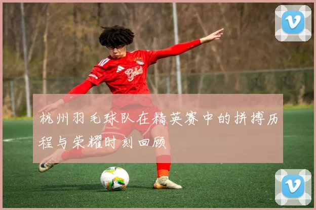 杭州羽毛球队在精英赛中的拼搏历程与荣耀时刻回顾