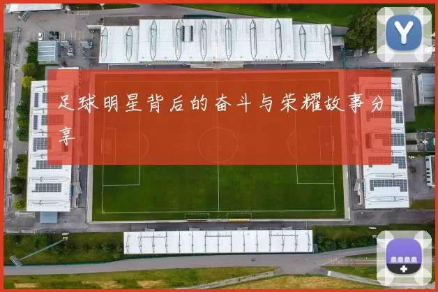 足球明星背后的奋斗与荣耀故事分享