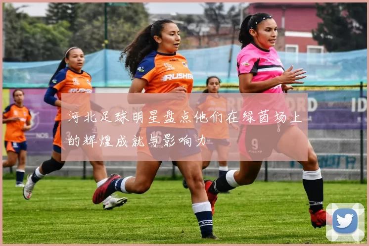 河北足球明星盘点他们在绿茵场上的辉煌成就与影响力