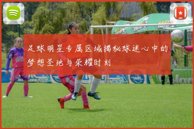 足球明星专属区域揭秘球迷心中的梦想圣地与荣耀时刻