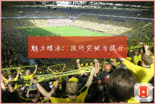 魅力蝶泳：技巧突破与提升