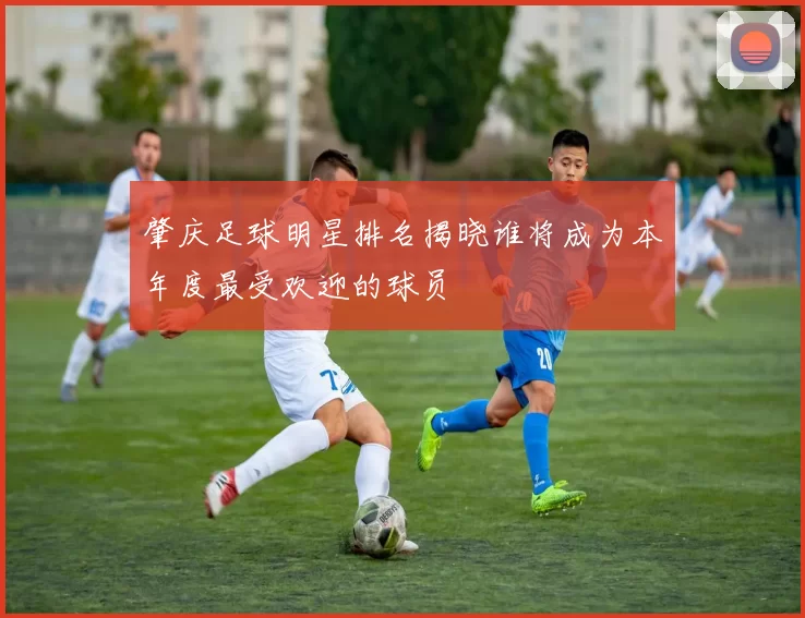 肇庆足球明星排名揭晓谁将成为本年度最受欢迎的球员