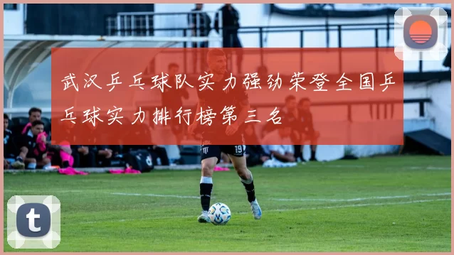 武汉乒乓球队实力强劲荣登全国乒乓球实力排行榜第三名