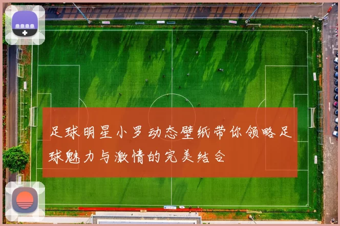 足球明星小罗动态壁纸带你领略足球魅力与激情的完美结合