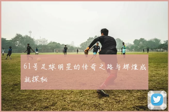 61号足球明星的传奇之路与辉煌成就探秘