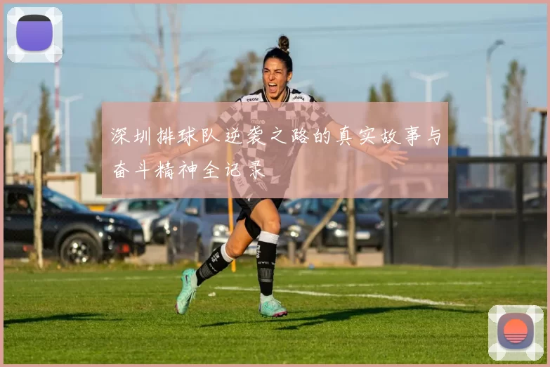 深圳排球队逆袭之路的真实故事与奋斗精神全记录