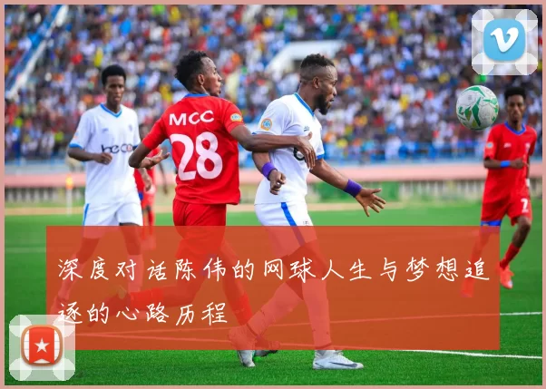 深度对话陈伟的网球人生与梦想追逐的心路历程