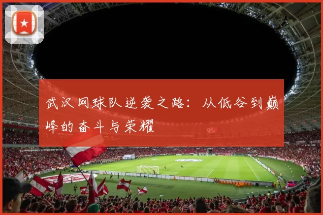 武汉网球队逆袭之路：从低谷到巅峰的奋斗与荣耀