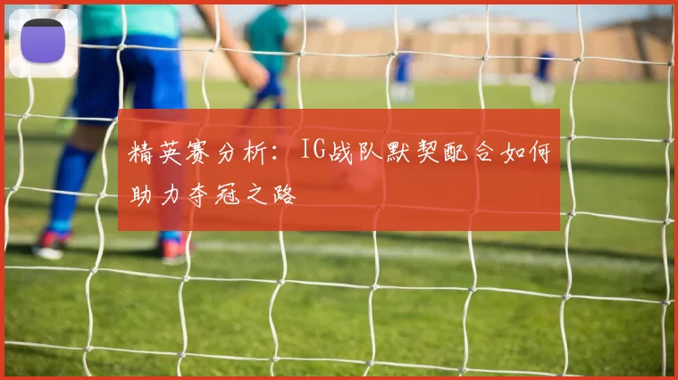 精英赛分析：IG战队默契配合如何助力夺冠之路