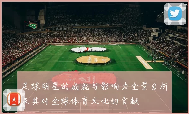 足球明星的成就与影响力全景分析及其对全球体育文化的贡献