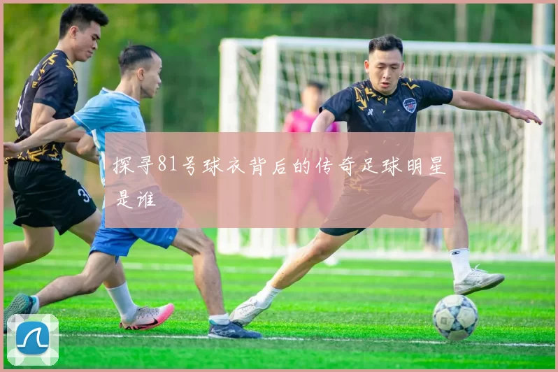 探寻81号球衣背后的传奇足球明星是谁